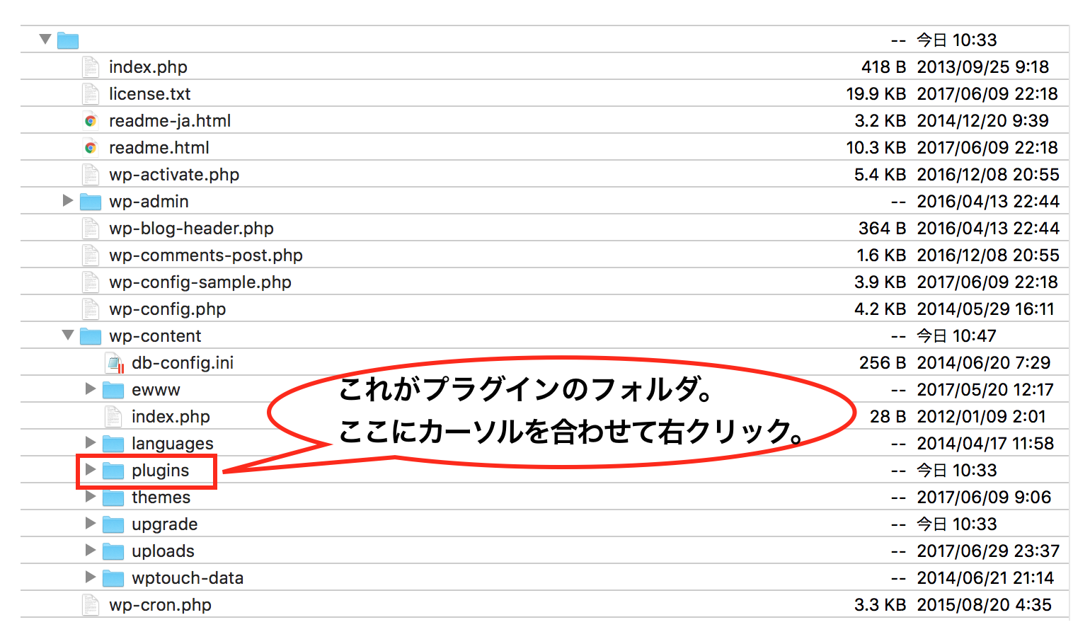ワードプレスで Fatal Error Allowed Memory Size Of のエラーが出た時 メモリを引き上げても解決しない場合の対処法 近日出荷 キンジツシュッカ